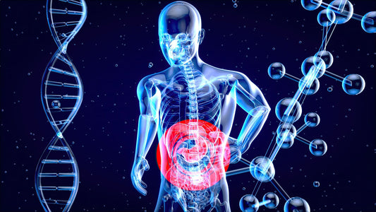 Enzime digestive: tot ce trebuie să știi