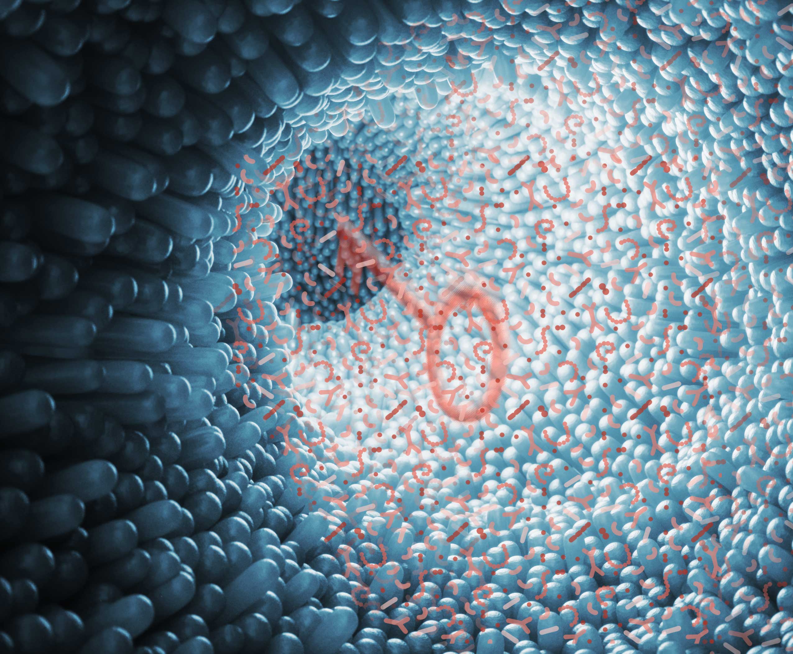 Microbiome   Synergy  Probiotics