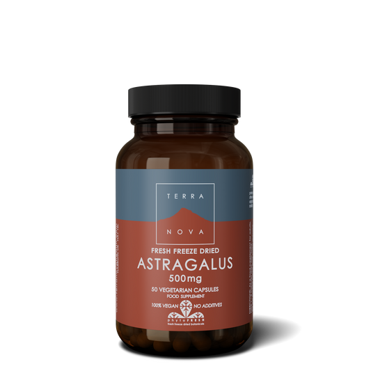 Astragalus 500 mg