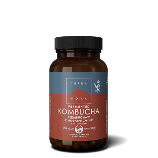 Terranova Fermented Kombucha