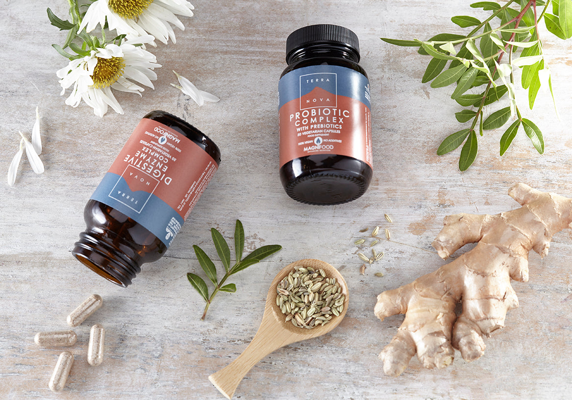 TERRANOVA Digestive Enzyme Complex 50's