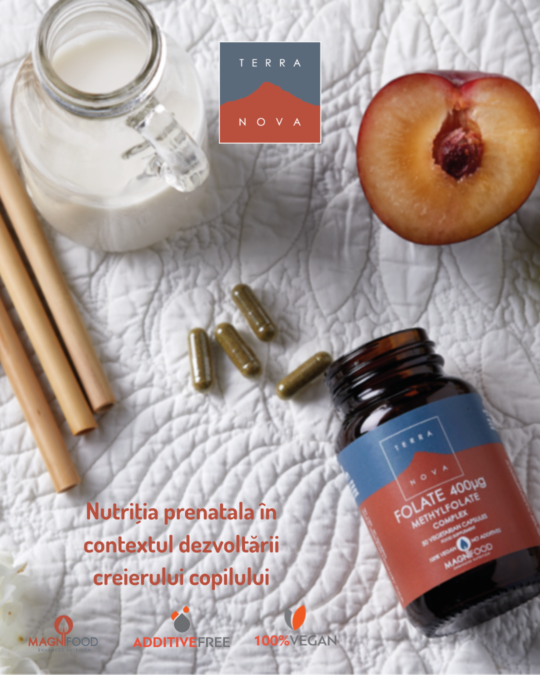 TERRANOVA  Folate 400μg Complex